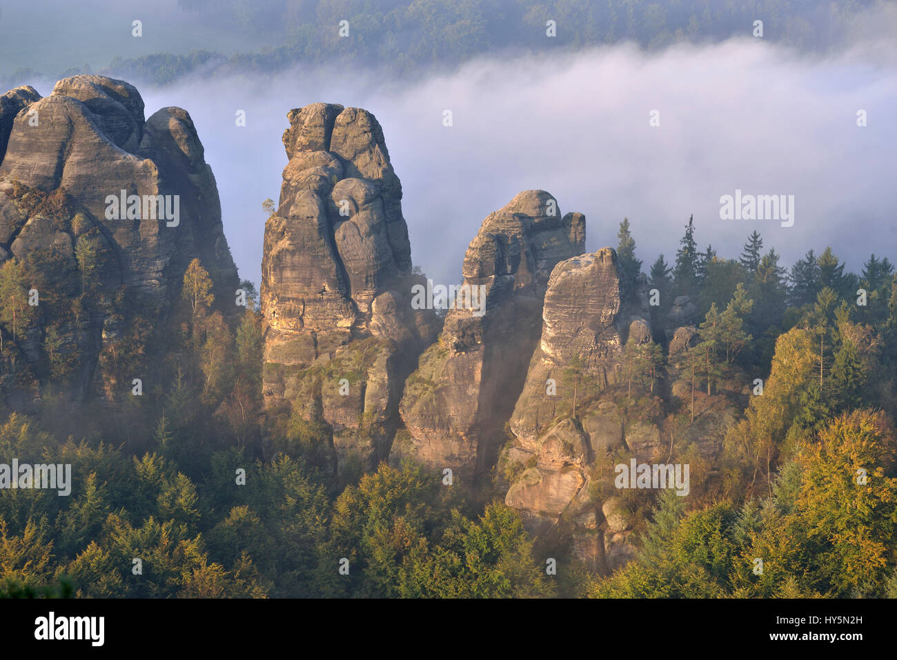 Felsen im Morgennebel, Herbst, Elbsandsteingebirge, Sächsische Schweiz, Sachsen, Deutschland Stockfoto