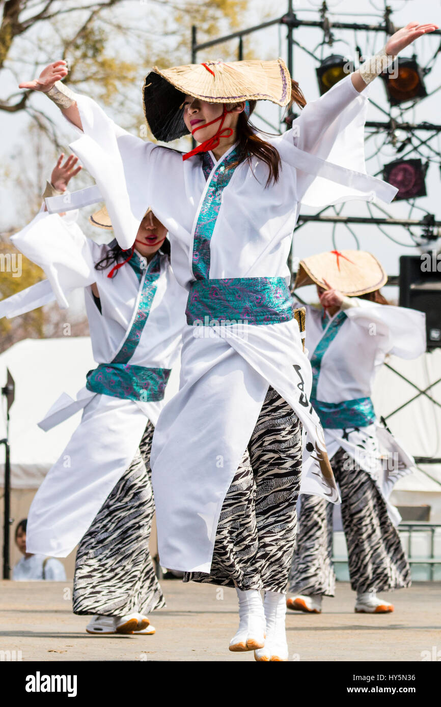 Hinokuni Yosakoi Dance Festival. Frau Tänzer tanzen auf der Bühne und halten nakuro, hölzerne Klöppel. Trägt weiße Yukata und Stroh Landwirt hat. Stockfoto