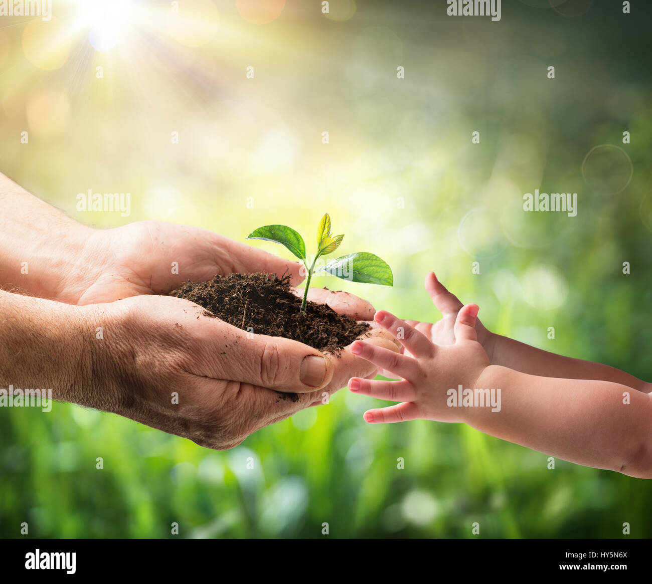Alter Mann und junge Pflanze zu einem Kind - Umweltschutz für die neue Generation Stockfoto