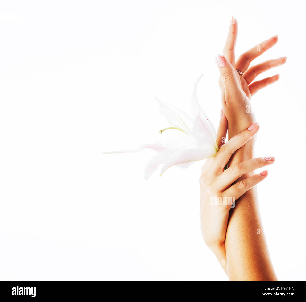 Schönheit zarte Hände mit Maniküre hält Blume Lilie hautnah Stockfoto
