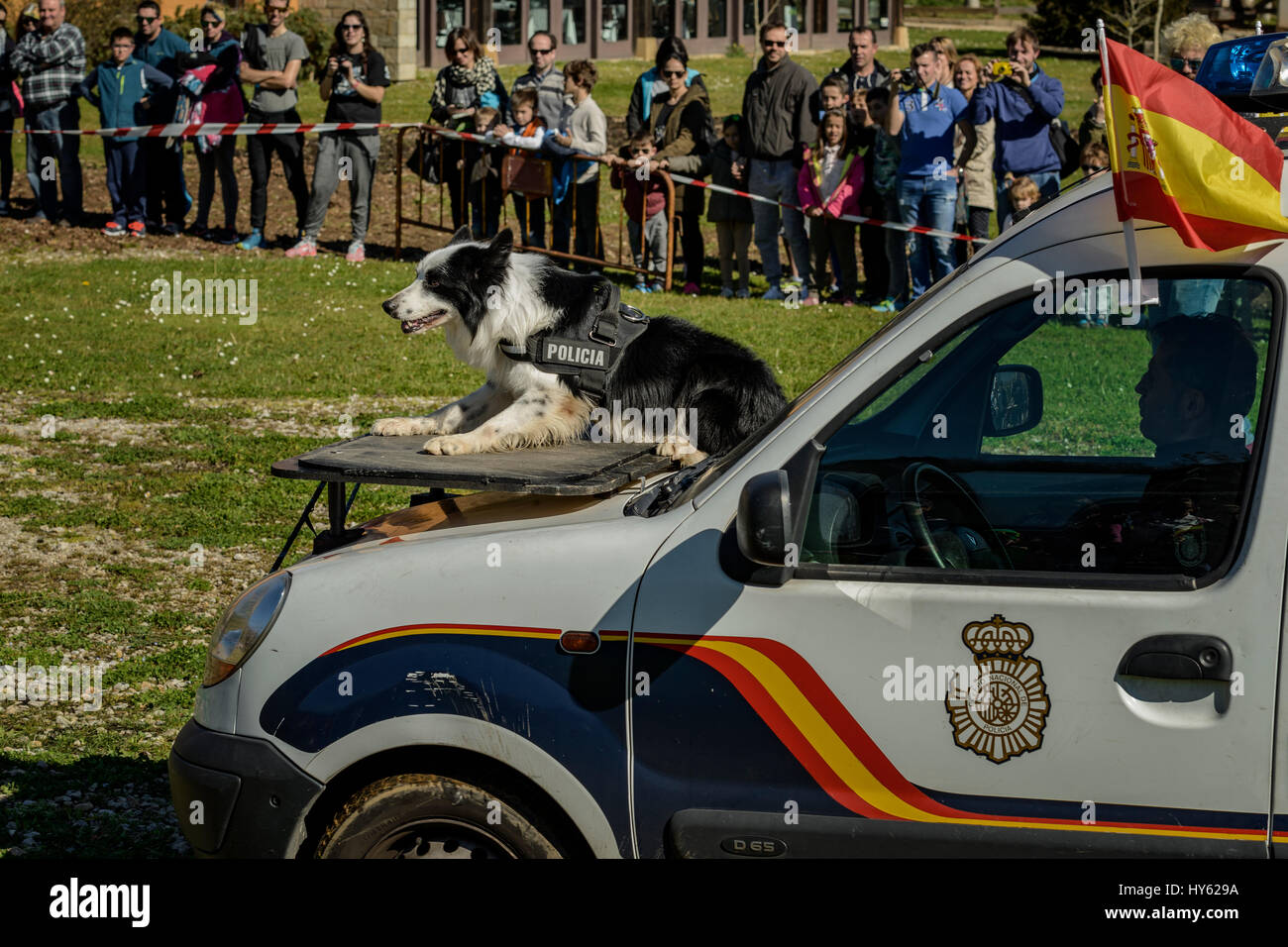 In der Natur Park von Cabárceno de Cantabria. Ausstellung von Hunde-Führer der Nationalpolizei. Spanien, Europa Stockfoto