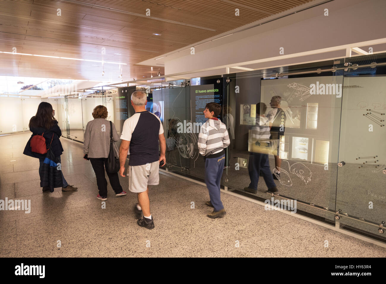 Burgos, Spanien - 19. März 2017: Tourist besucht Museum der menschlichen Evolution am 19. März 2017 in Burgos, Spanien. Stockfoto