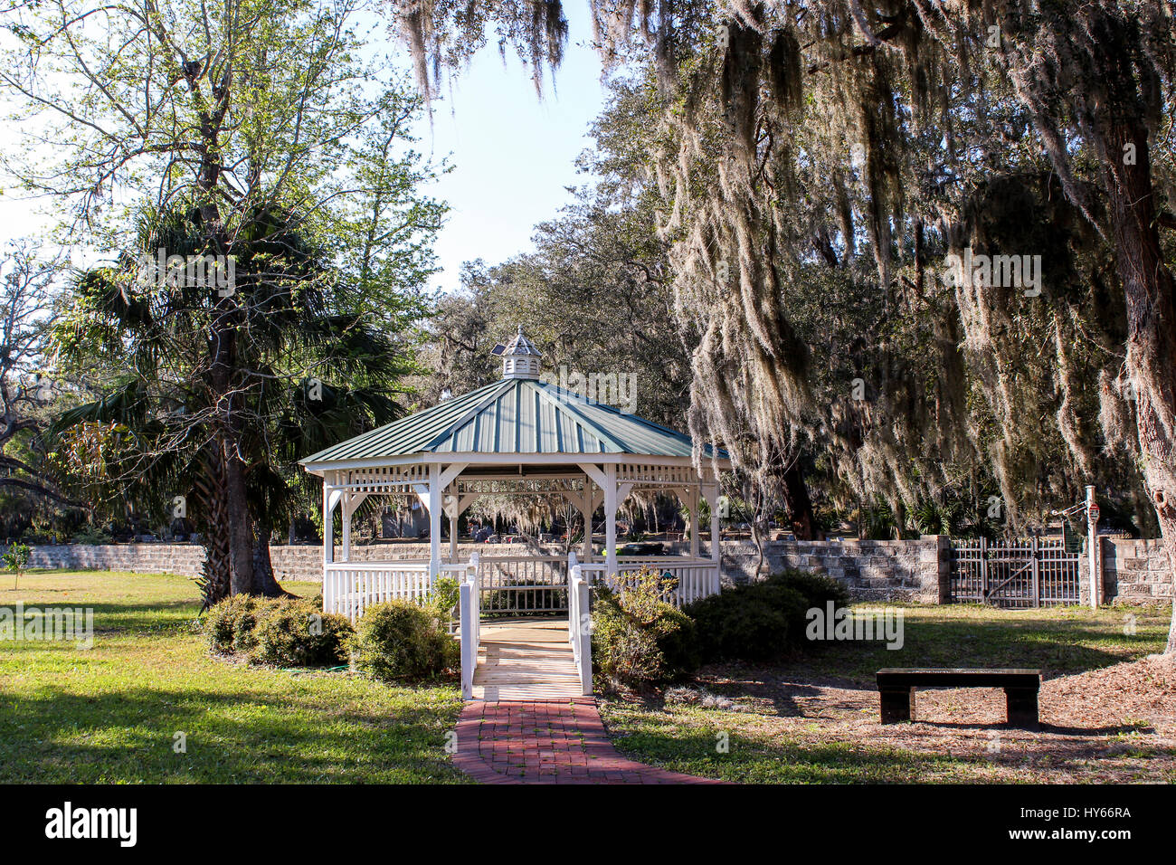 Spanish Moss in Georgien Stockfoto