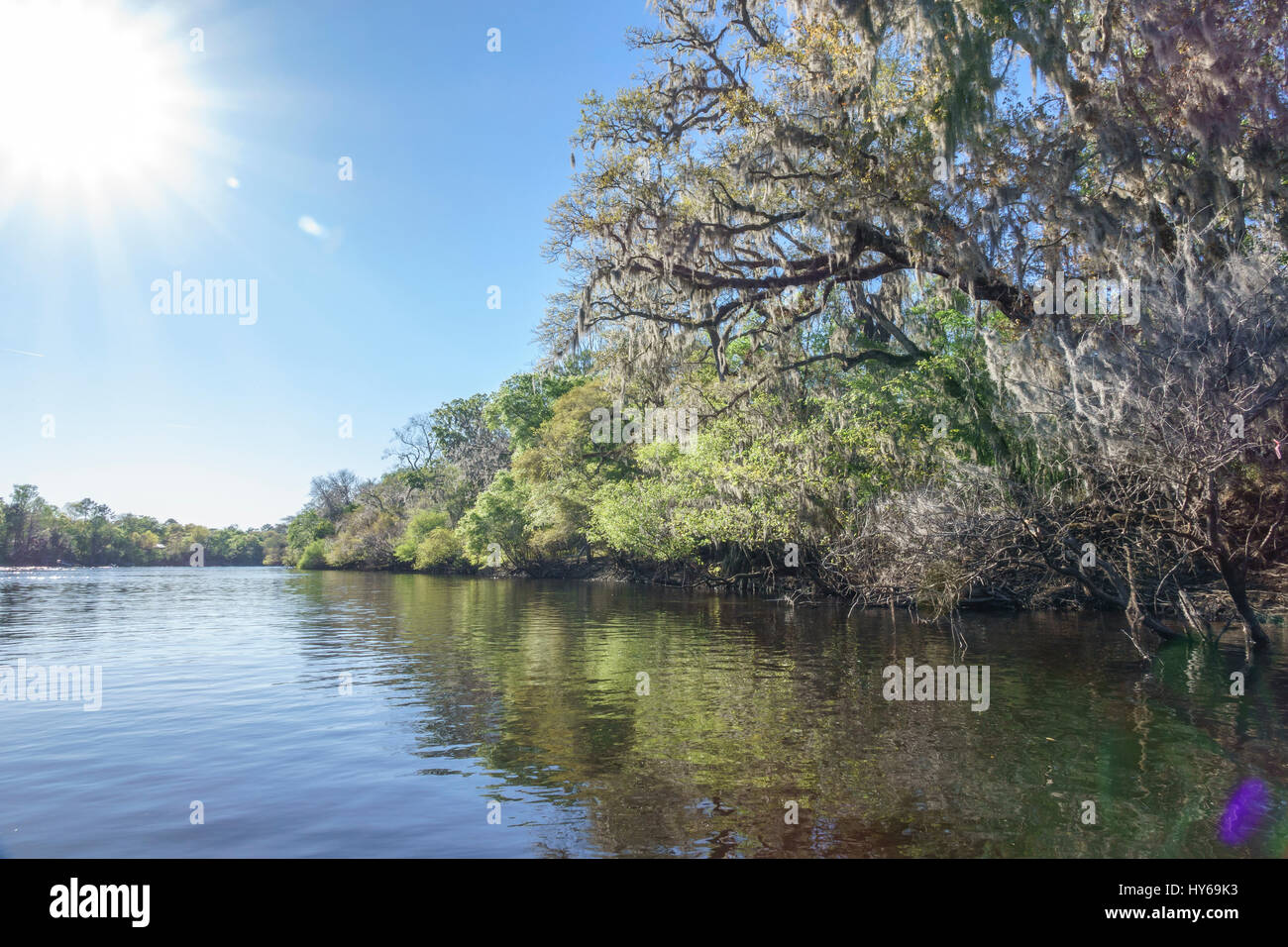 Suwanee River Küstenlinie, Gilchrist County florida Stockfoto