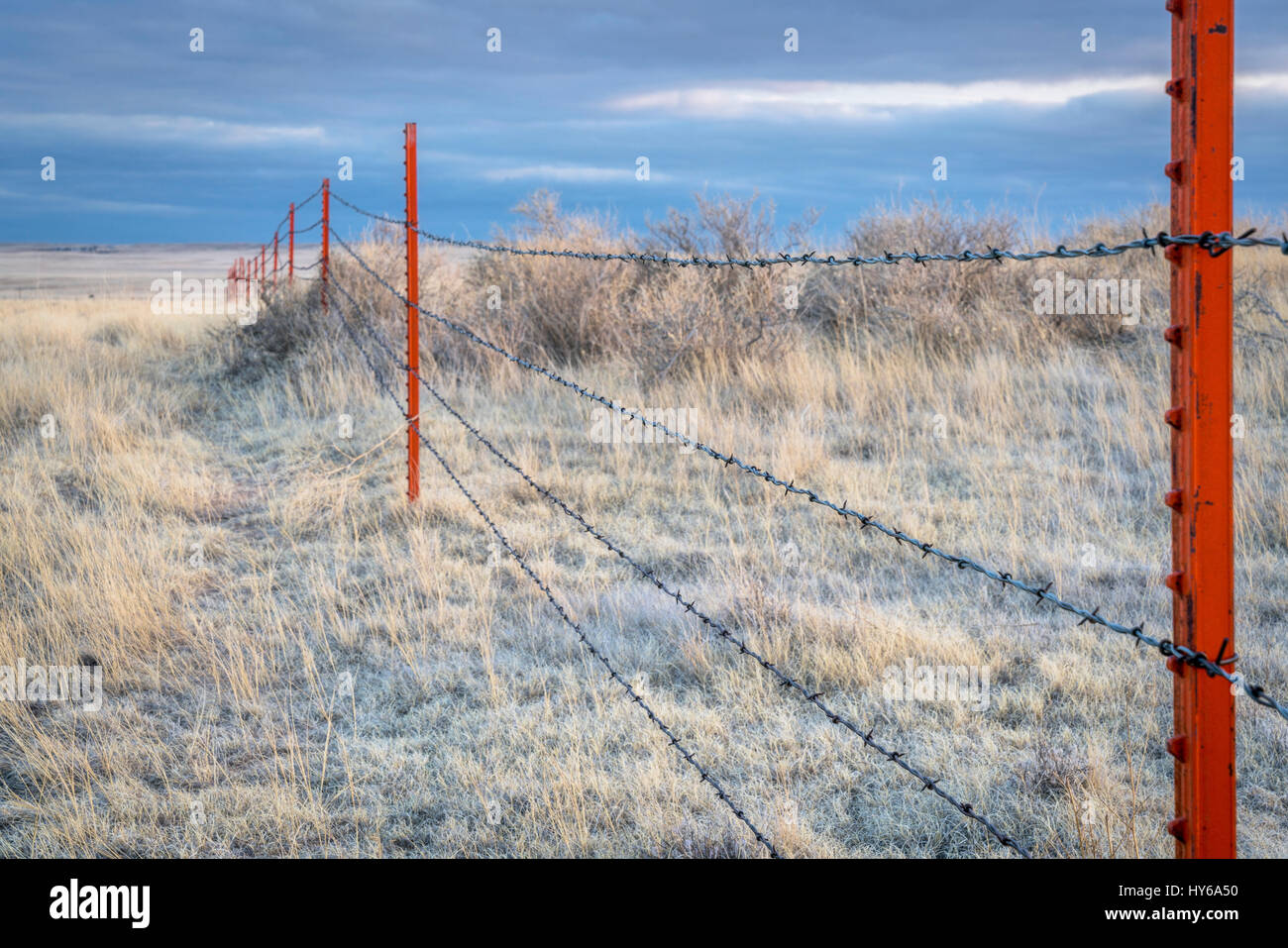 Stacheldraht Zaun in Pawnee National Grassland Winter Dämmerung Stockfoto