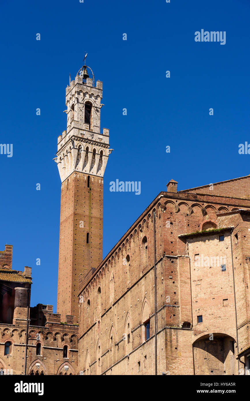 Turm des Mangia, Torre del Mangia, 87 m, 1348, im historischen Zentrum von Siena Stockfoto