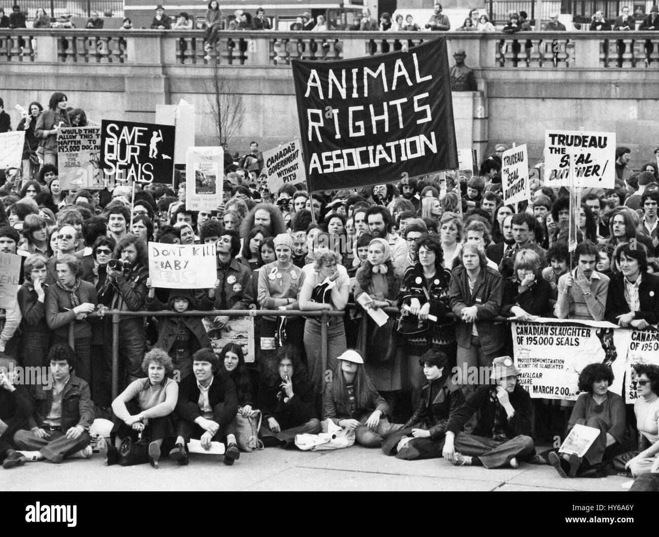 Demonstranten besuchen eine Kundgebung gegen den Pelzhandel kanadische Robben am Trafalgar Square in London am 11. März 1978. Stockfoto