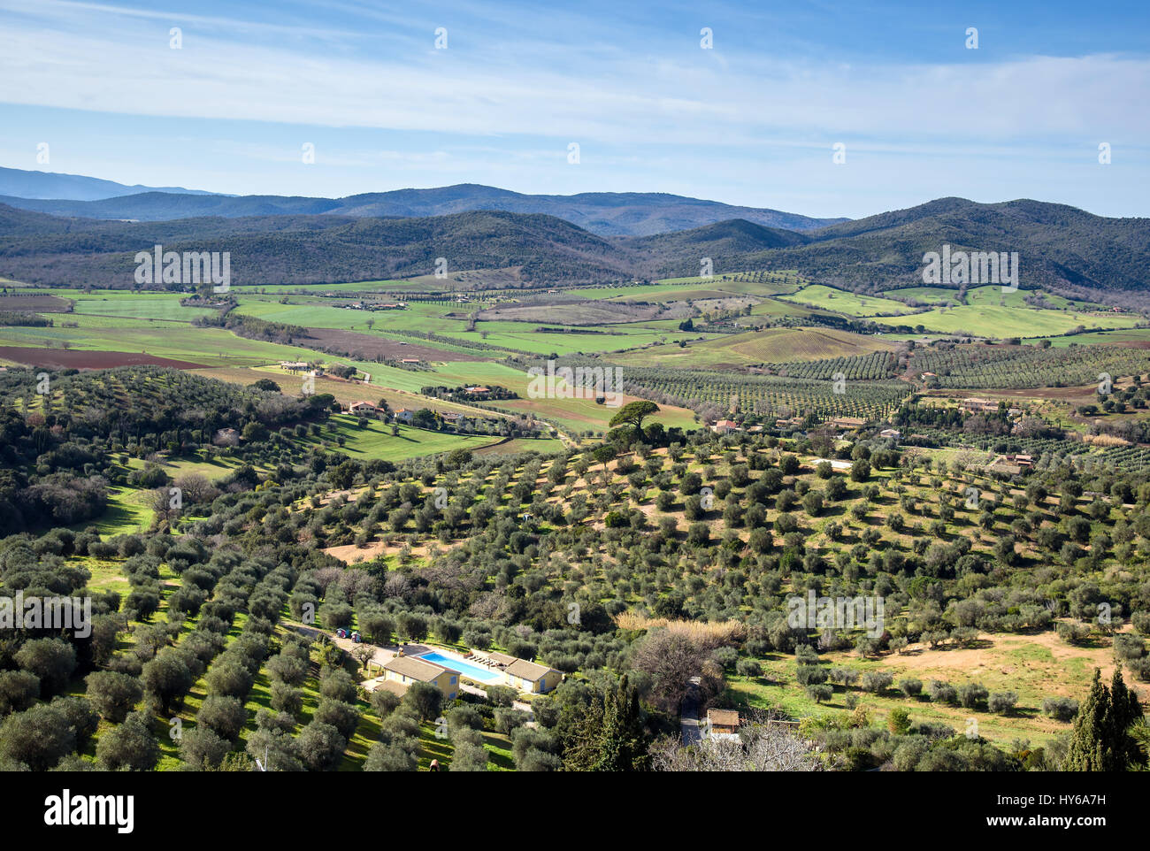 Landschaft mit Olivenhainen in Toskana, Italien Stockfoto