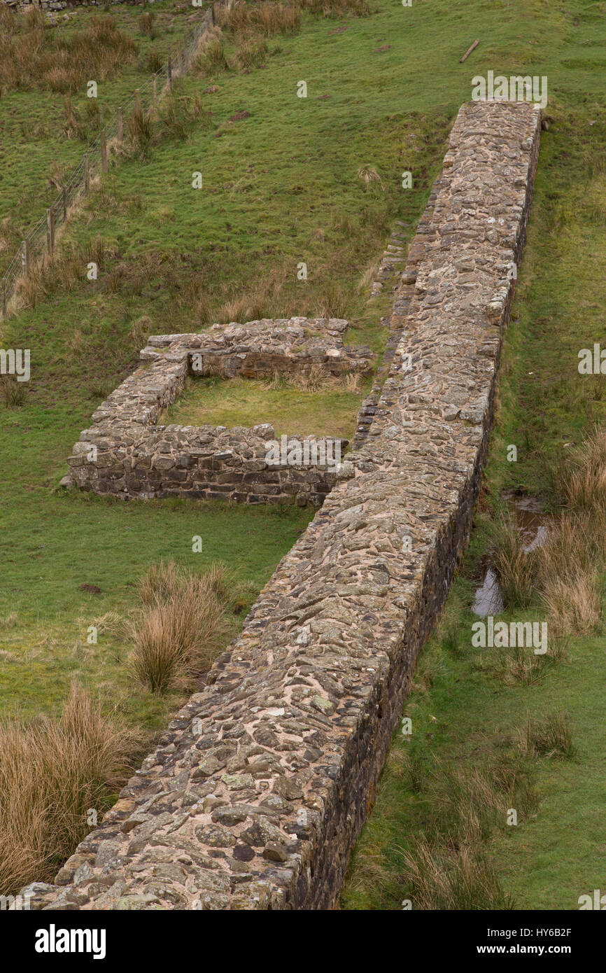 Turrent am Hadrianswall auf Hotbank Felsen in Northumberland, England. Die alte Festung gehört zum UNESCO-Weltkulturerbe. Stockfoto