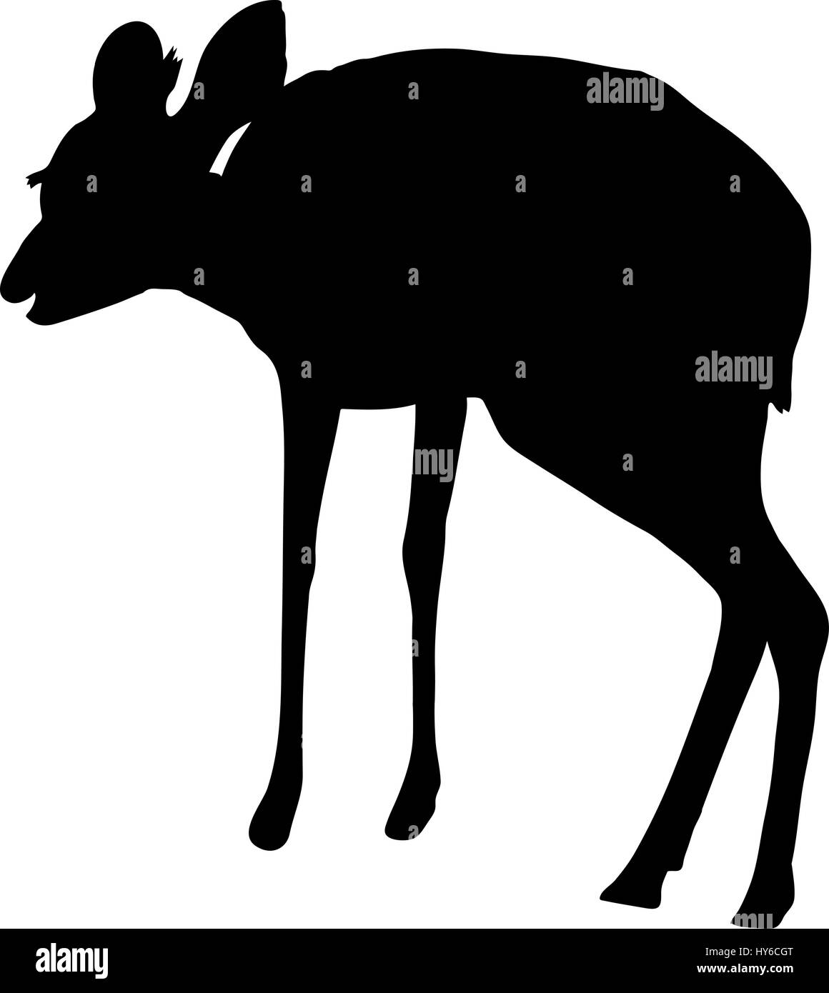 Silhouette der eine stehende niedlich Damara Dik-dik Stock Vektor