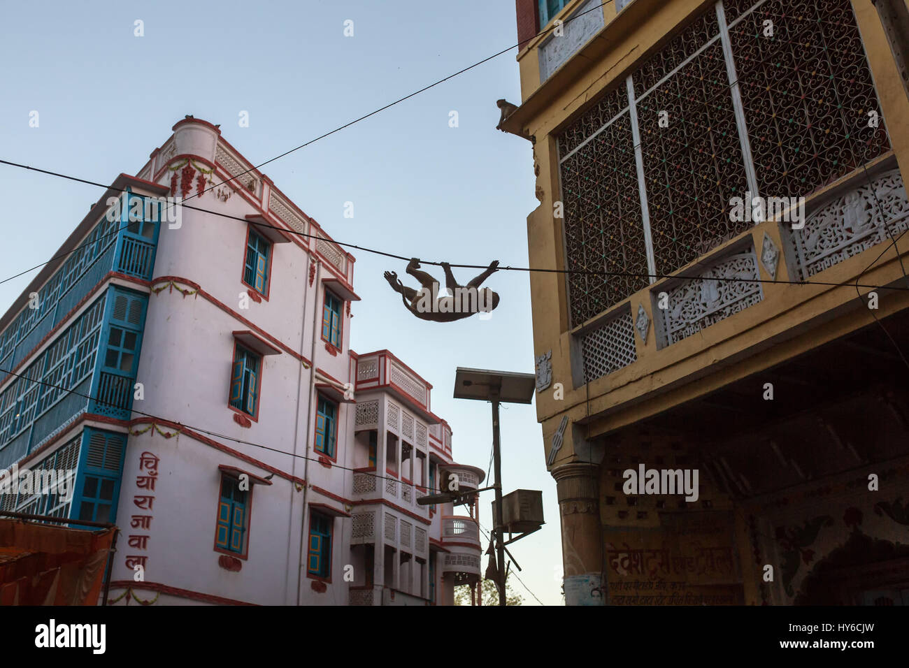 Affe auf Straßen der Stadt hängen Drähte in Vrindavan, Indien Stockfoto