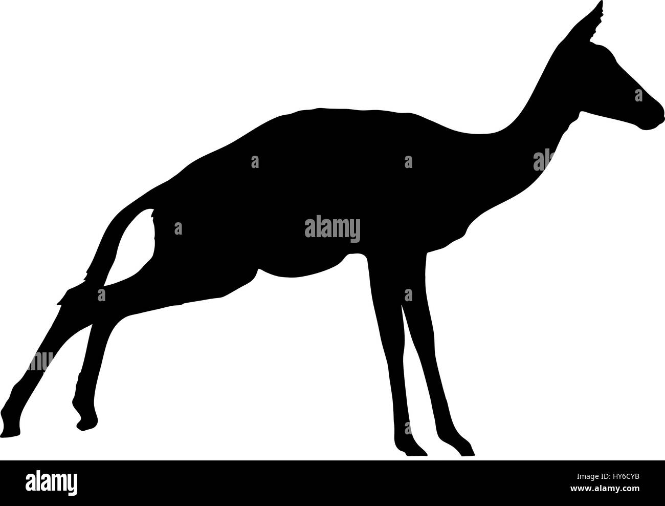 Silhouette des blackfaced Impala-Antilope auf dem Sprung Stock Vektor