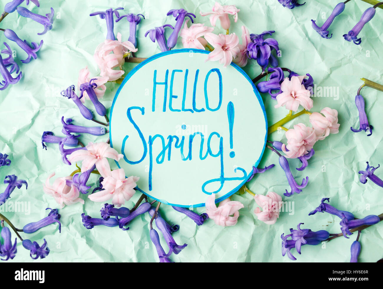Hallo Frühling Hinweis mit Hyazinthe Blumen auf grünem Papier Stockfoto