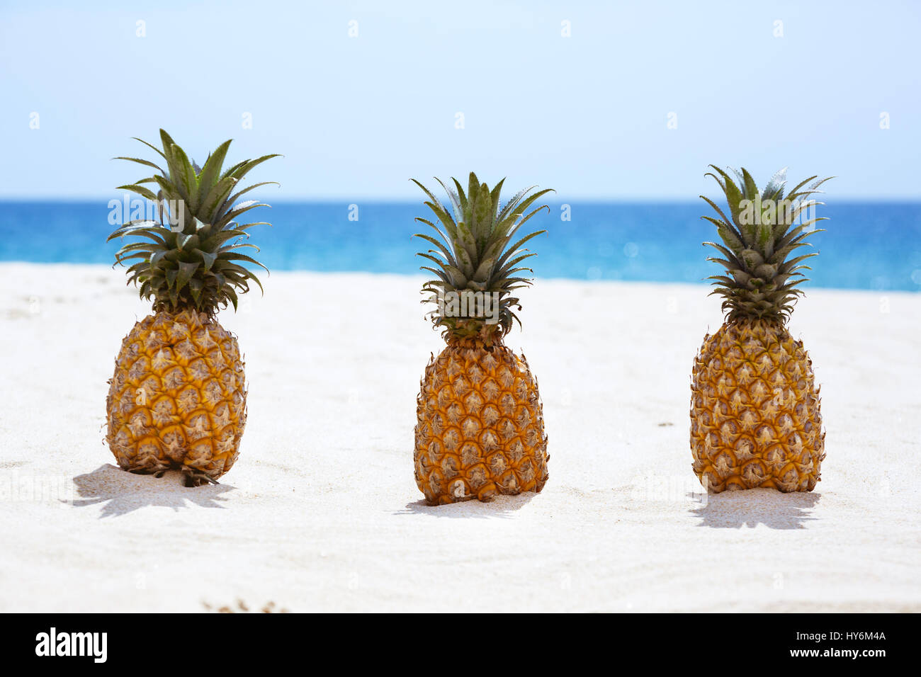 Drei Ananas am weißen Sandstrand-Hintergrund Stockfoto