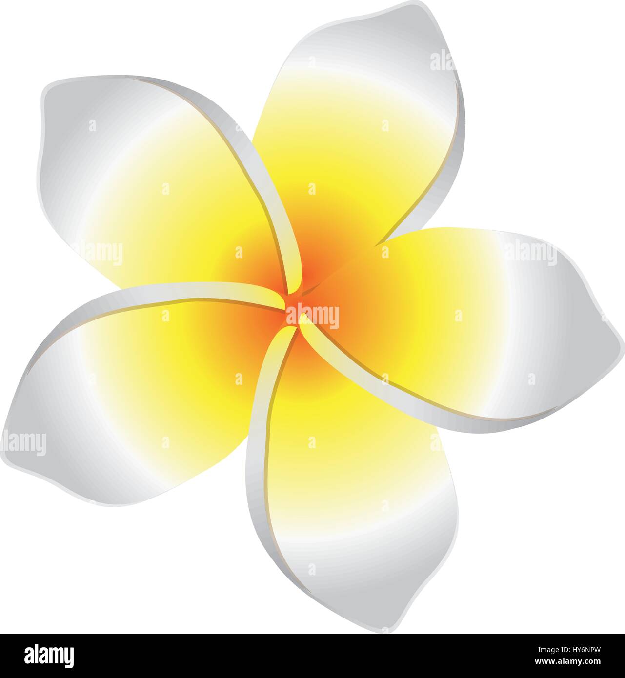 bunte Blumen mit Oval geformten Blüten Stock Vektor