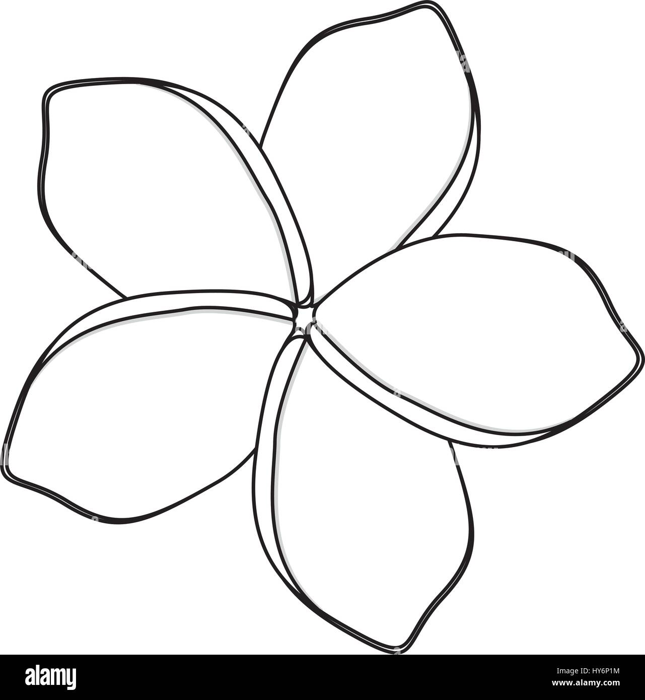 Silhouette Blume mit Oval geformten Blütenblättern Stock Vektor