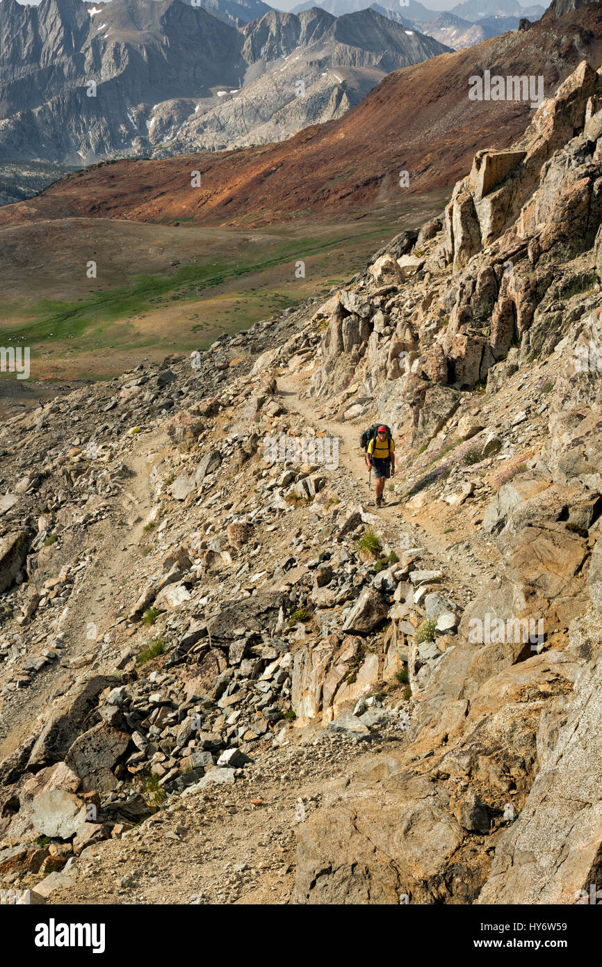 CA03172-00... Kalifornien - Wanderer aufsteigender Richtung Pinchot Passhöhe auf der kombinierten JMT/PCT im Kings Canyon National Park. Stockfoto