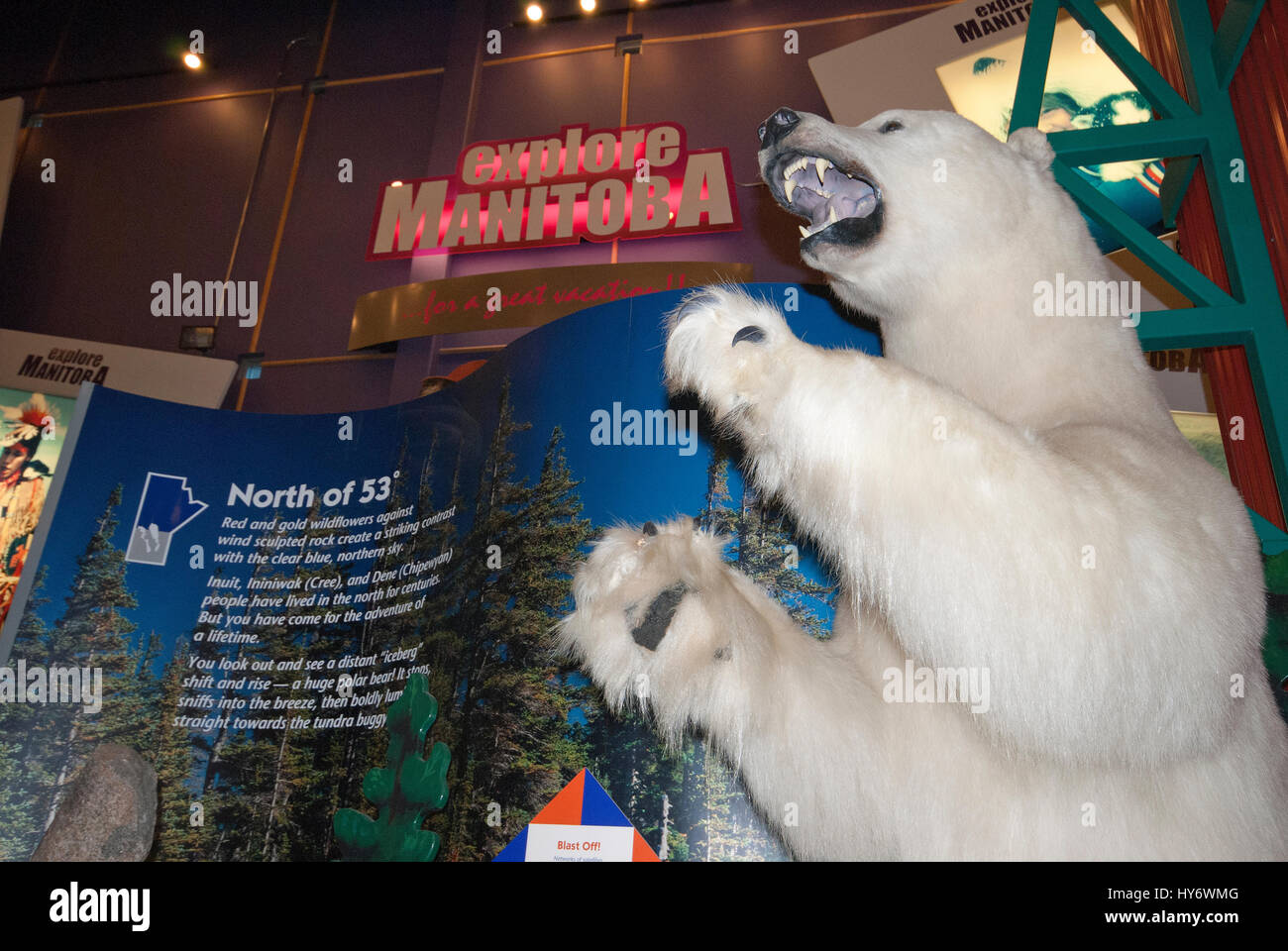 Eisbär (Ursus Maritimus), gefüllte Reisen Manitoba Visitor Information Centre in The Forks, Winnipeg, Manitoba, Kanada Stockfoto