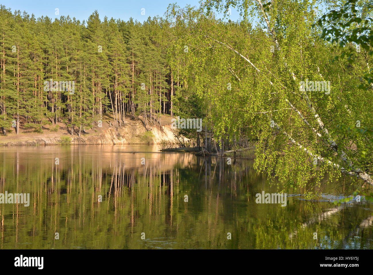 Frühling-Fluss im Nationalpark Zentralrussland. Wasserlandschaft an einem sonnigen Tag. Stockfoto