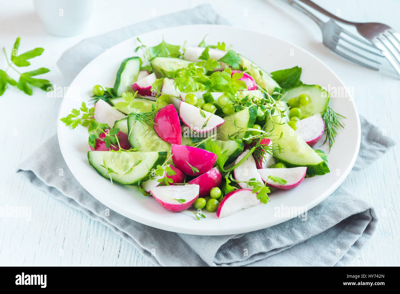 Gesundes Gemüse Frühlingssalat mit Rettich, Gurken, grüne Erbsen und Rosenkohl, Diät, vegetarisch, Vegan, Bio, grün Essen, Frühling Entgiftung Snack. Stockfoto