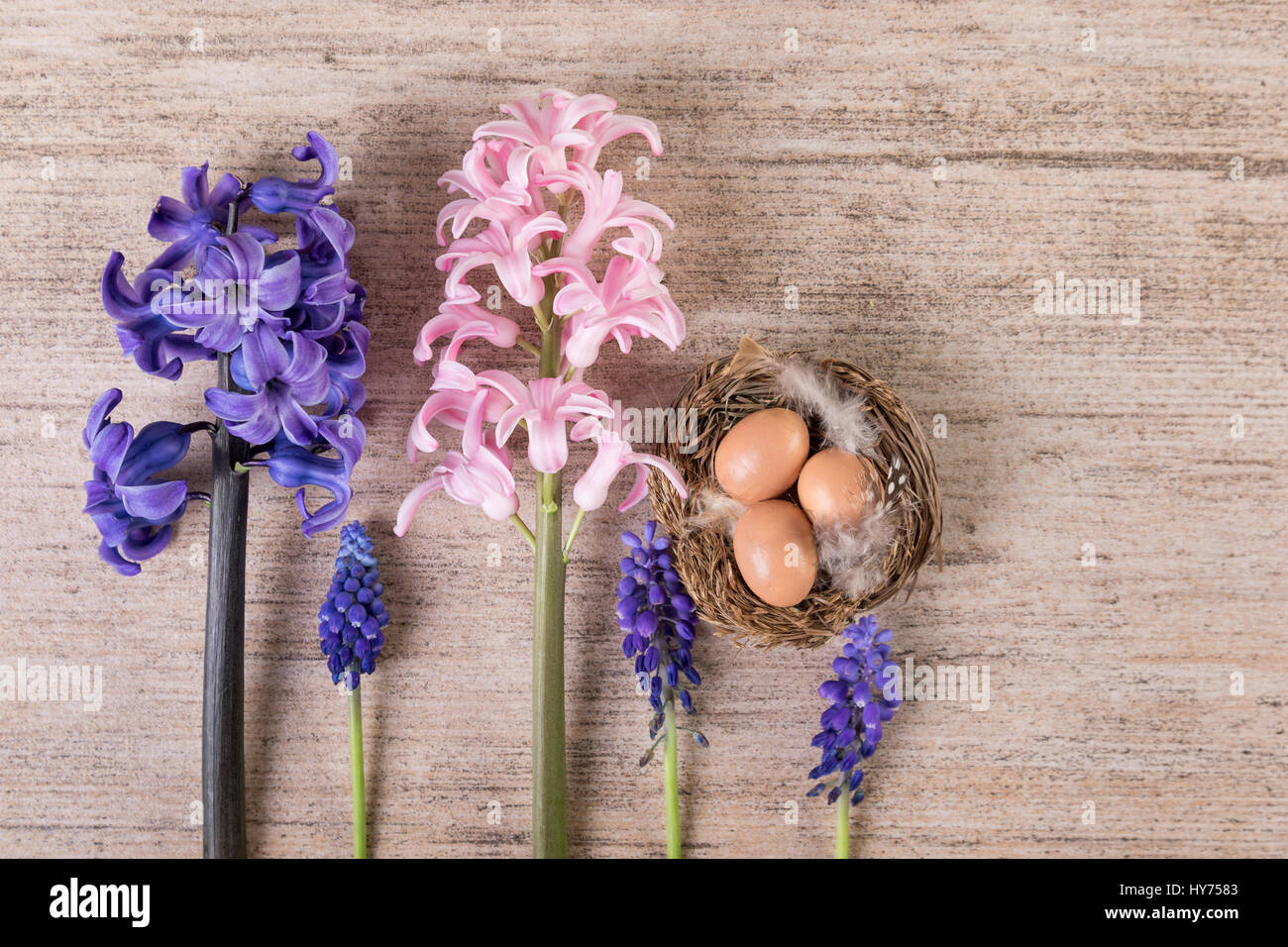 Ostern rustikalen Hintergrund mit Hyazinthenblumen und Osternest Stockfoto