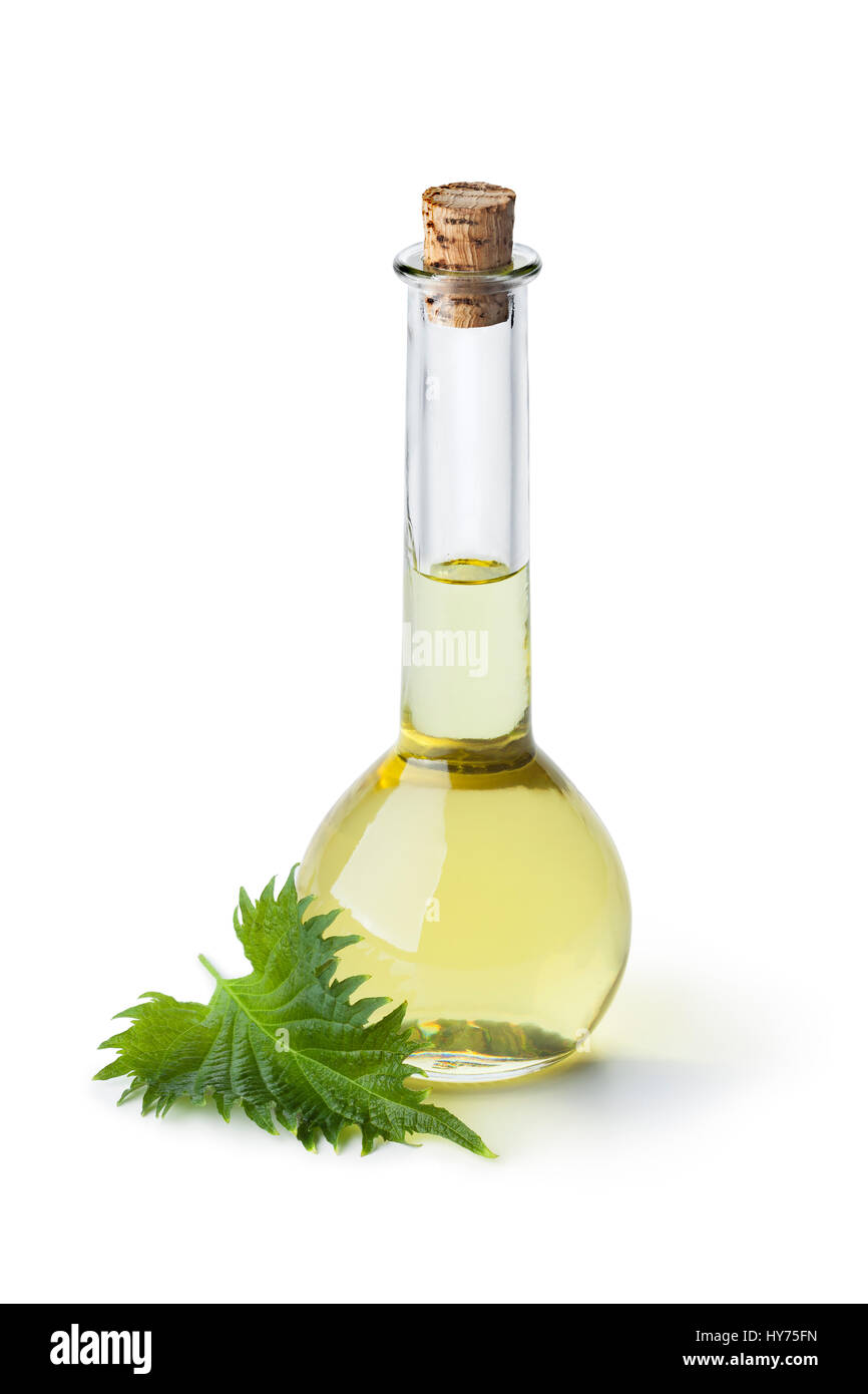 Flasche mit Shiso Blatt Öl und frische Blätter auf weißem Hintergrund Stockfoto