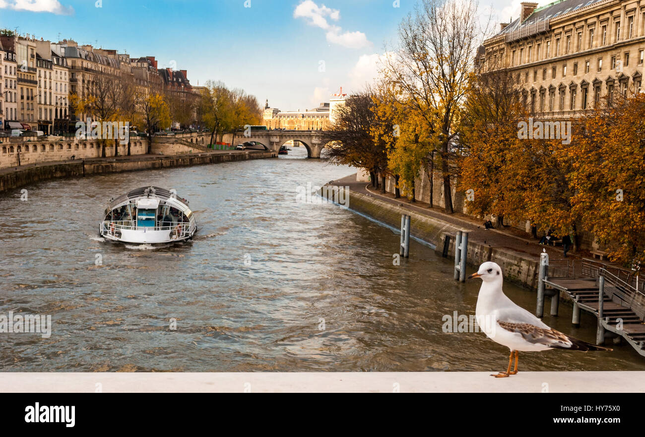 Herbst in Paris auf Seine Kreuzfahrt Stockfoto