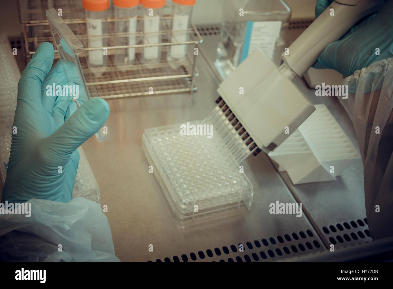 Labortechniker arbeiten mit multiwell Pipette, soft-Fokus Stockfoto Labortechniker arbeiten mit multiwell Pipette, soft-Fokus Stockfoto