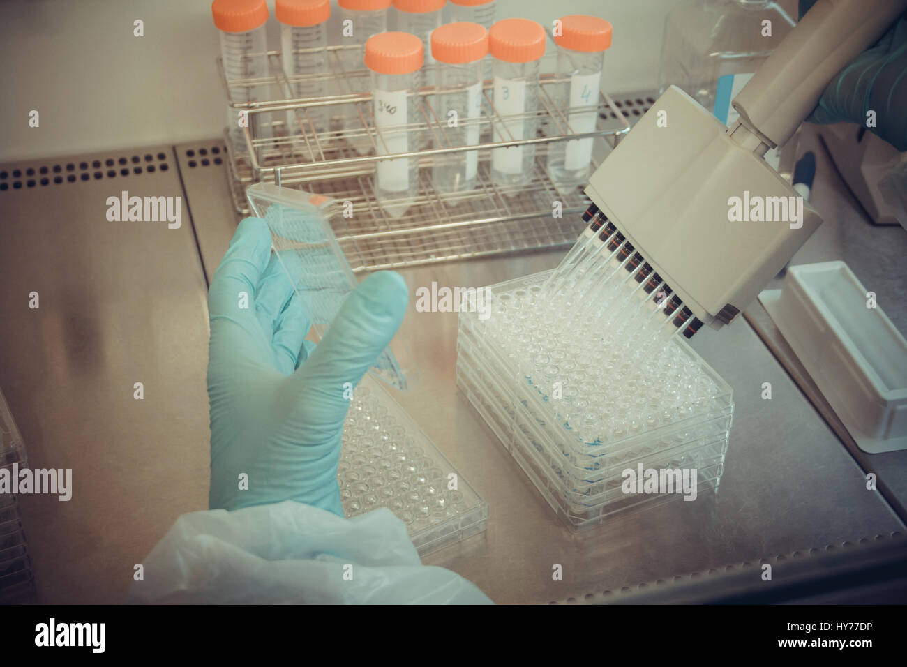 Labortechniker arbeiten mit multiwell Pipette, soft-Fokus Stockfoto Labortechniker arbeiten mit multiwell Pipette, soft-Fokus Stockfoto