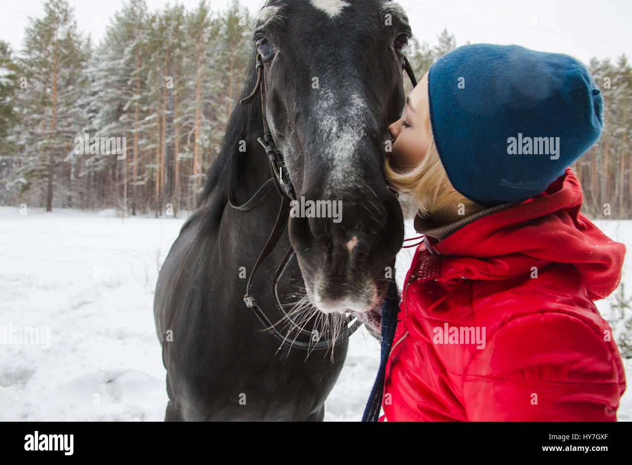 Frau küssen ein Pferd im Wald Stockfoto