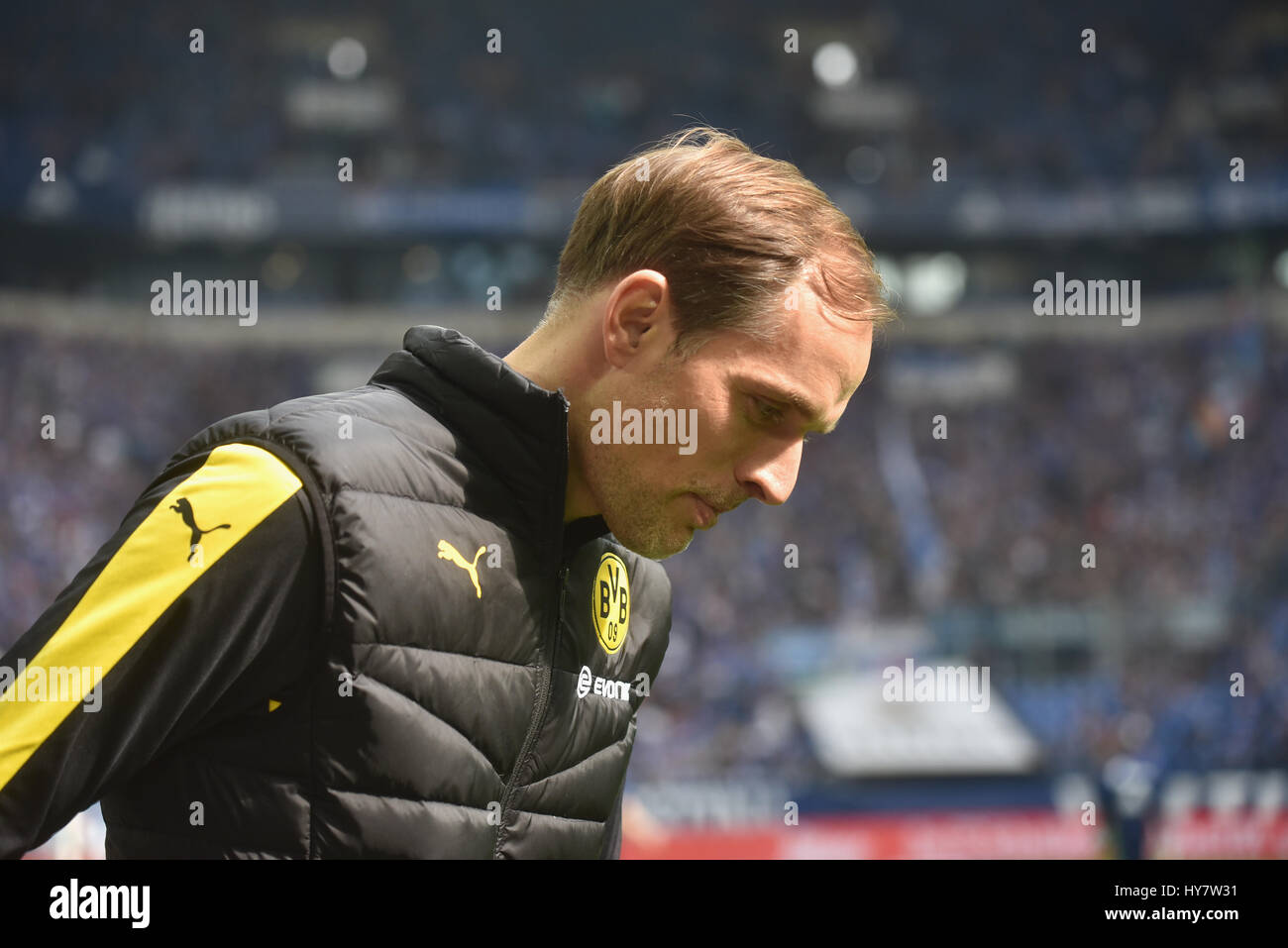 Gelsenkirchen, Deutschland 1. April 2017, Bundesliga-Spieltag 26, FC Schalke 04 - BV Borussia Dortmund: Credit Manager Thomas Tuchel (Dortmund): Jürgen Schwarz/Alamy Live News Stockfoto