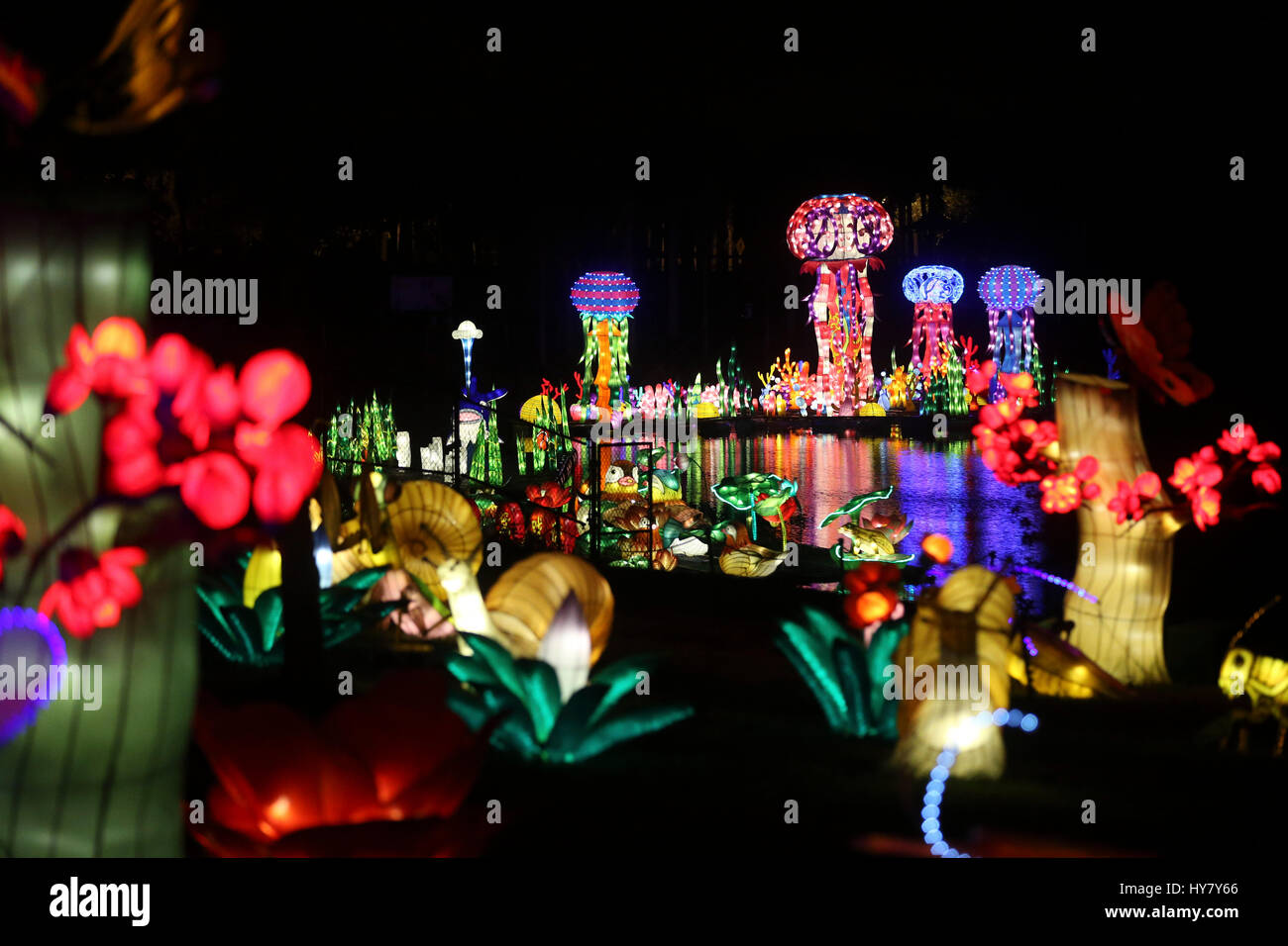 Boca Raton. 24. März 2017. Foto aufgenommen am 24. März 2017 Show Laterne Installationen bei einem Laternenfest statt im Sunset Cove Amphitheater in Boca Raton, Florida, USA. Zucker, Zeichnung, eine traditionelle chinesische Volkskunst mit heißen Karamell um zweidimensionale Figuren zu erstellen gehört zu viele folk Fähigkeiten auf dem Display vom 24. Februar bis 9. April an das chinesische Laternenfest in Palm Beach County, ein Paradies für Urlauber in Süd-Florida. Bildnachweis: Wang Ying/Xinhua/Alamy Live-Nachrichten Stockfoto