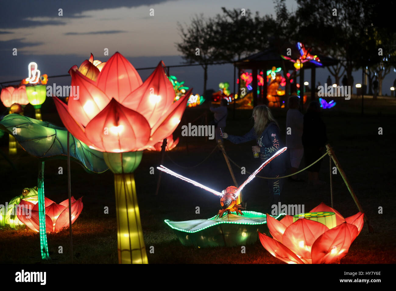Boca Raton, USA. 24. März 2017. Ein Besucher fotografiert an einem Laternenfest statt im Sunset Cove Amphitheater in Boca Raton, Florida, USA, 24. März 2017. Zucker, Zeichnung, eine traditionelle chinesische Volkskunst mit heißen Karamell um zweidimensionale Figuren zu erstellen gehört zu viele folk Fähigkeiten auf dem Display vom 24. Februar bis 9. April an das chinesische Laternenfest in Palm Beach County, ein Paradies für Urlauber in Süd-Florida. Bildnachweis: Wang Ying/Xinhua/Alamy Live-Nachrichten Stockfoto