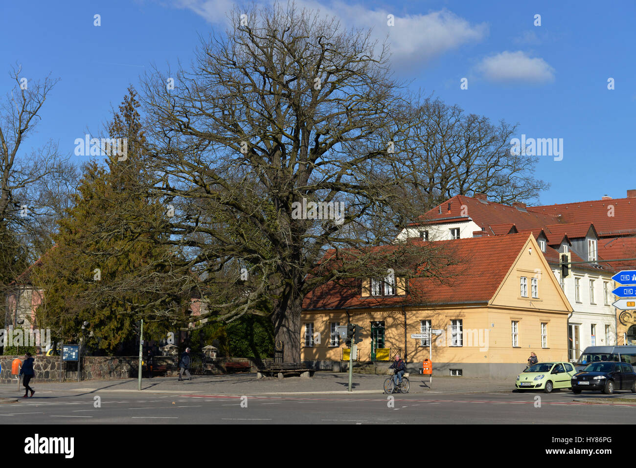 Eiche, Frieden zu Hause Museum, Avenue Clay, Dorf Zehlen, Berlin, Deutschland, Friedenseiche, Heimatmuseum, Clayallee, Zehlendorf, Deutschland Stockfoto