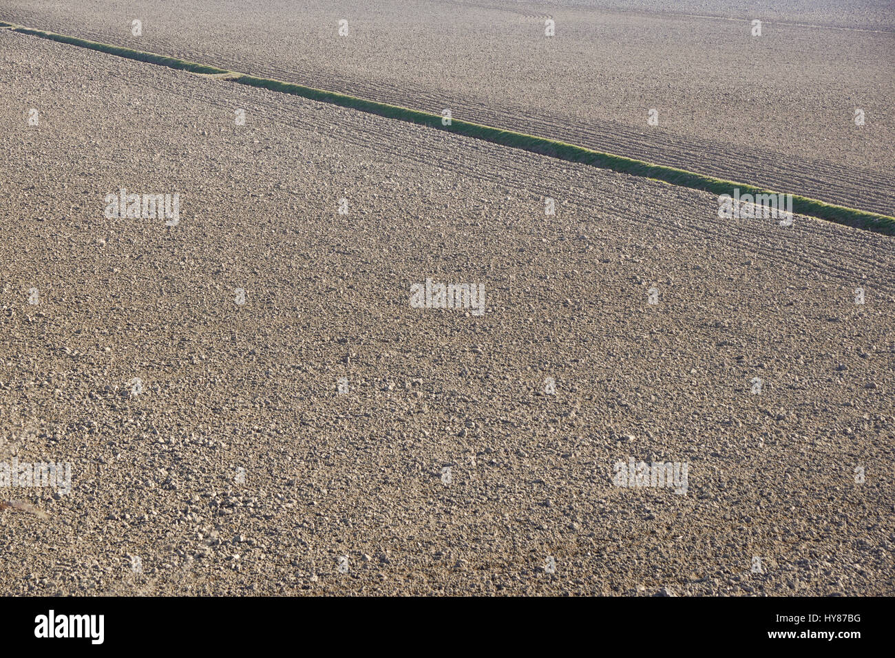 Top Luftbild von Furchen Zeilenmuster in ein gepflügtes Feld, die Pflanzen im Frühjahr vorbereitet. Wachsende Weizenernte im Frühling. Stockfoto