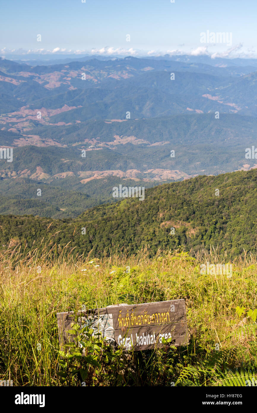 Lebensraum-Bereich, die Kew Mae Pan Naturlehrpfad im Doi Inthanon Nationalpark, Provinz Chiang Mai, Thailand. Stockfoto