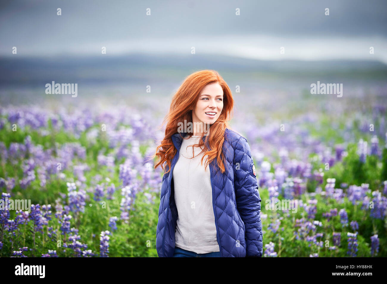 Glückliche, selbstbewusste junge Frauen in einem Feld von lila Blüten im Süden Islands Stockfoto