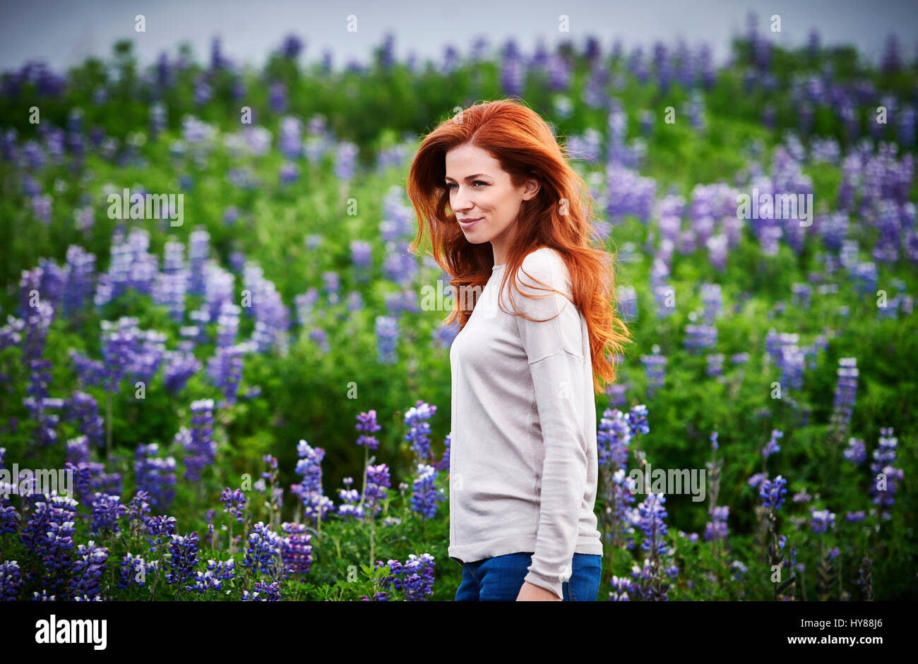 Glückliche, selbstbewusste junge Frauen in einem Feld von lila Blüten im Süden Islands Stockfoto