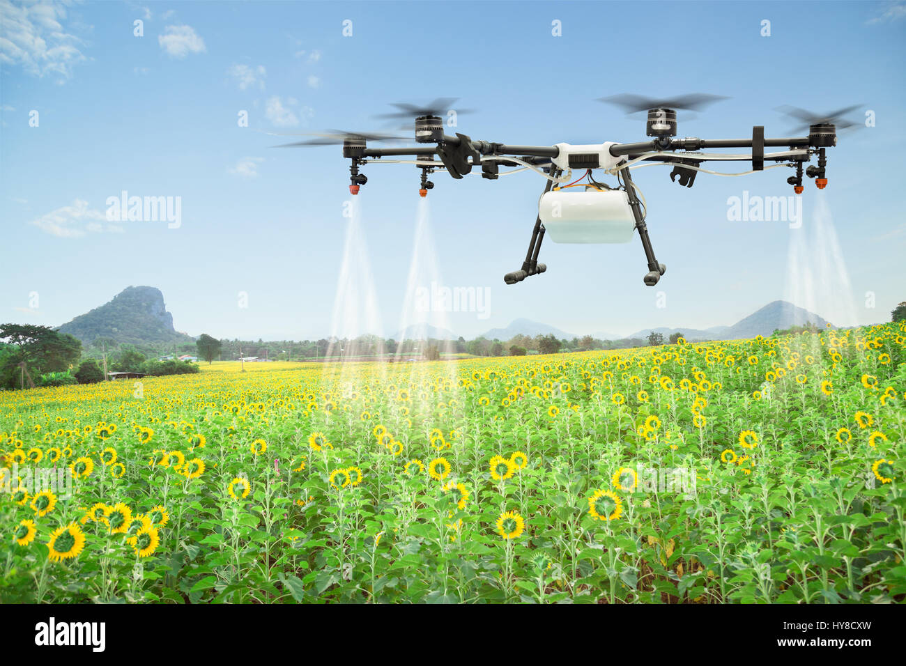 Landwirtschaft-Drohne sprühen Wasser Dünger auf dem Sonnenblumenfeld
