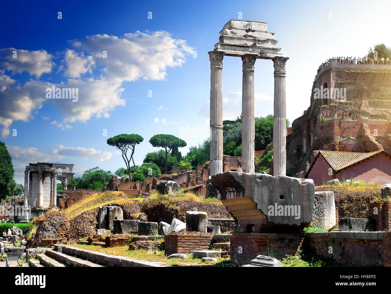 Ruinen des Forum Romanum im Sommer, Italien Stockfoto