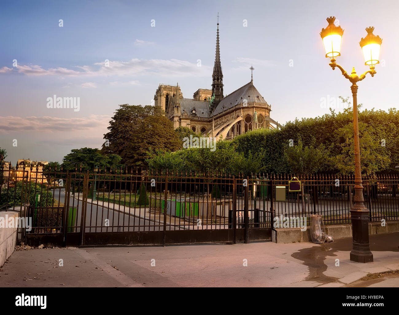Notre Dame de Paris und Park am frühen Morgen, Frankreich Stockfoto