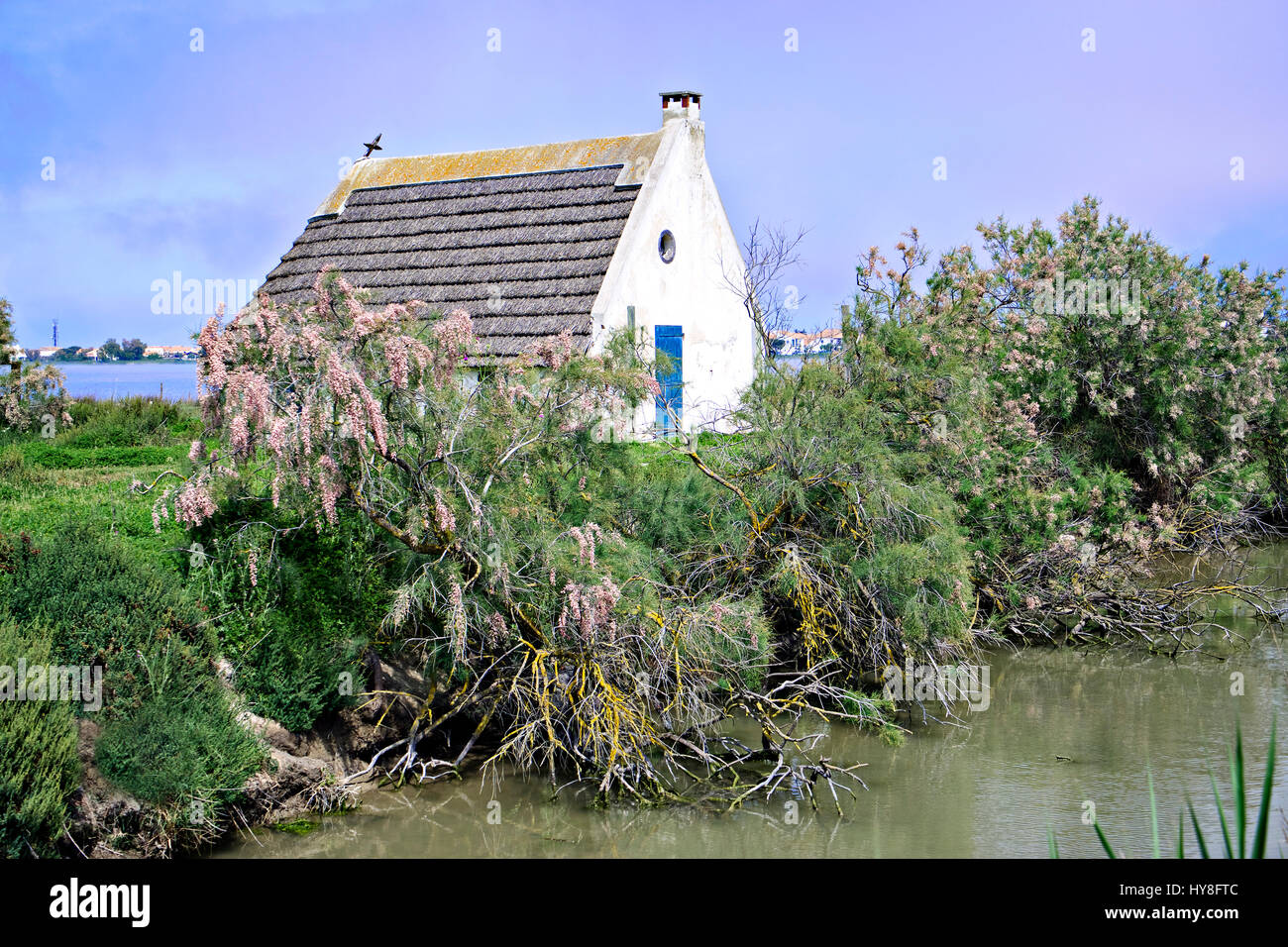 Frankreich, Camargue, Bouches du Rhone, Saintes Maries De La Mer, ein typisches Haus. Stockfoto