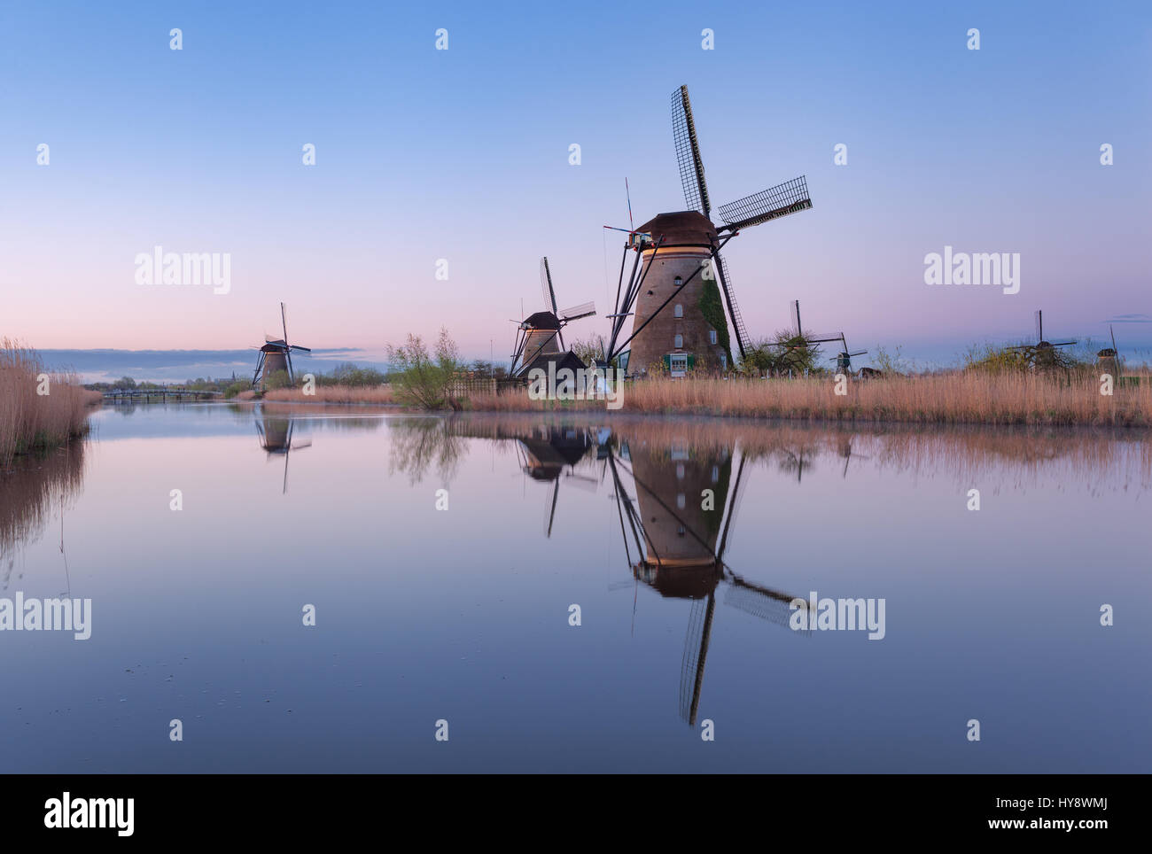 Windmühlen und klaren blauen Himmel bei Sonnenaufgang in Kinderdijk, Niederlande. Rustikale Frühlingslandschaft mit traditionellen holländischen Windmühlen in der Nähe der Kanäle und beaut Stockfoto