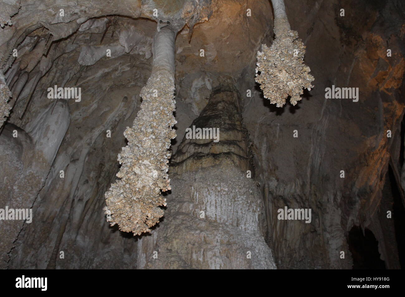 Tropfsteine, Kalksteinhöhlen, Carlsbad Caverns NP, New Mexico, USA Stockfoto