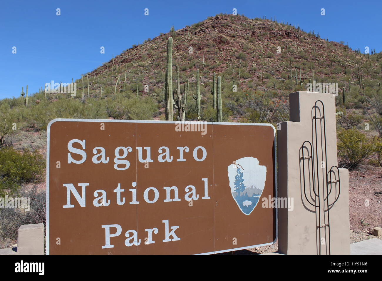 Zeichen, Saguaro National Park, in der Nähe von Tucson AZ USA Stockfoto