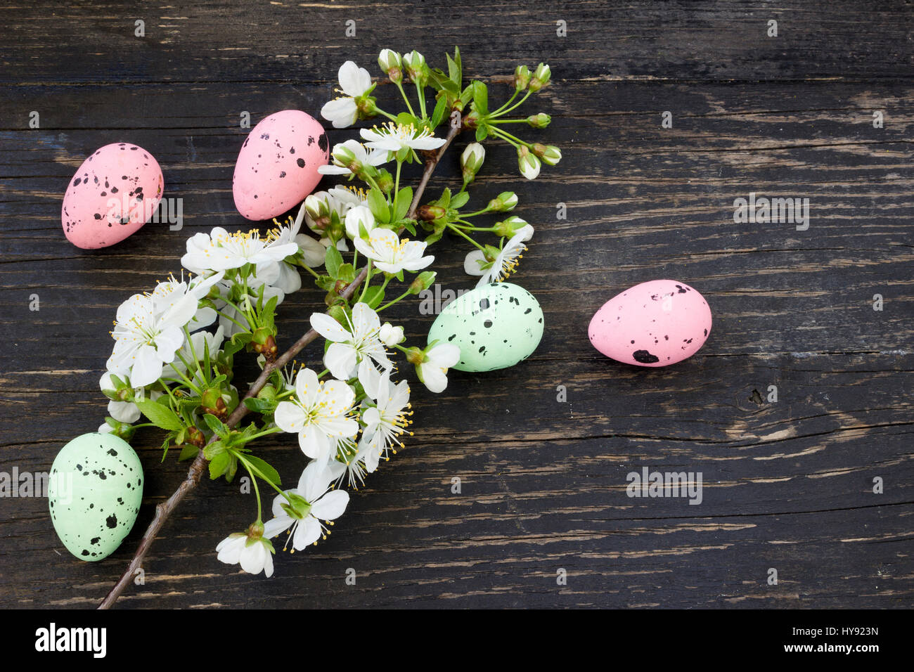 Ostern-Hintergrund mit Ostereiern und Kirschenblüten Stockfoto