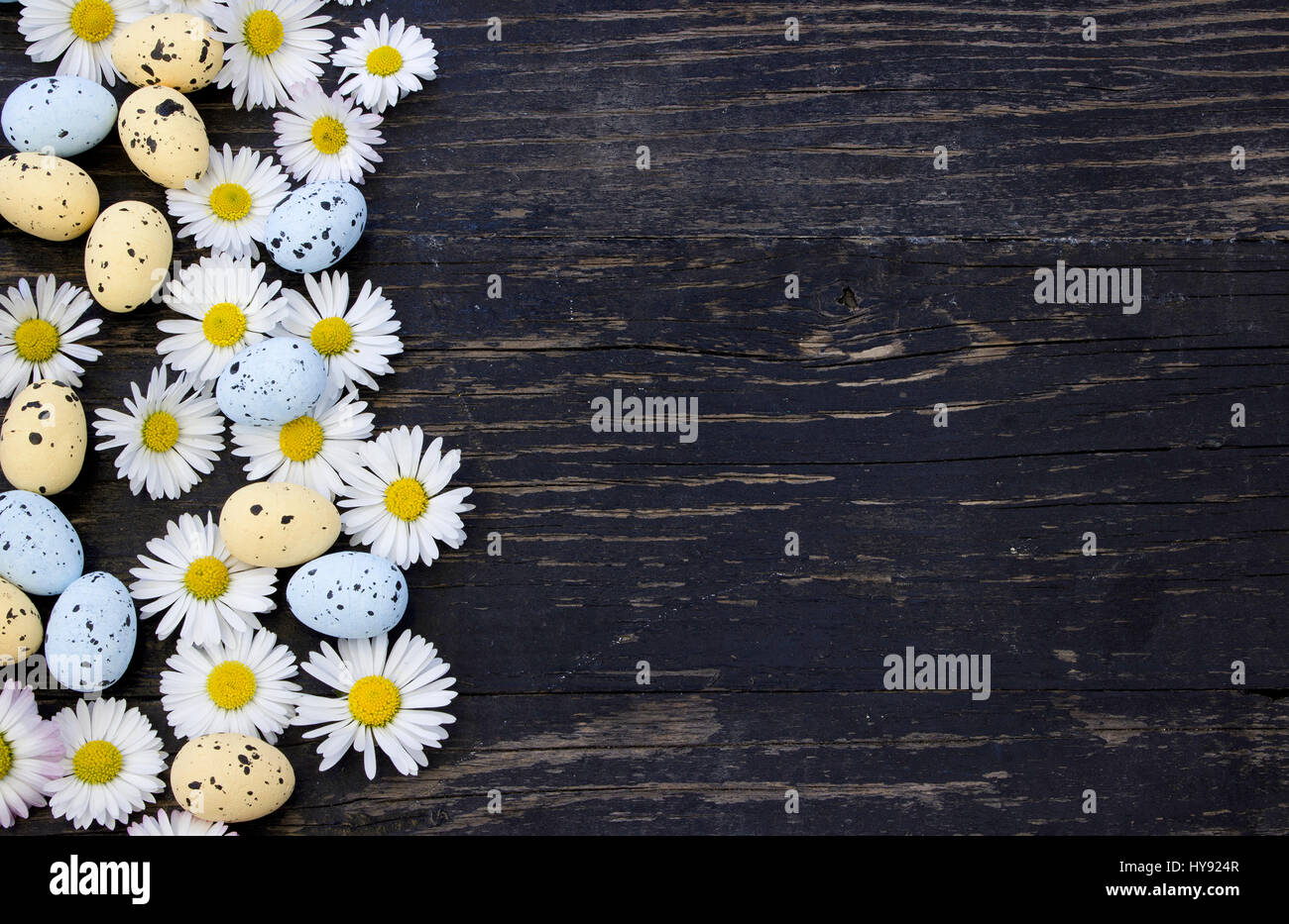 Ostern-Hintergrund mit Ostereier und Blumen-Gänseblümchen Stockfoto