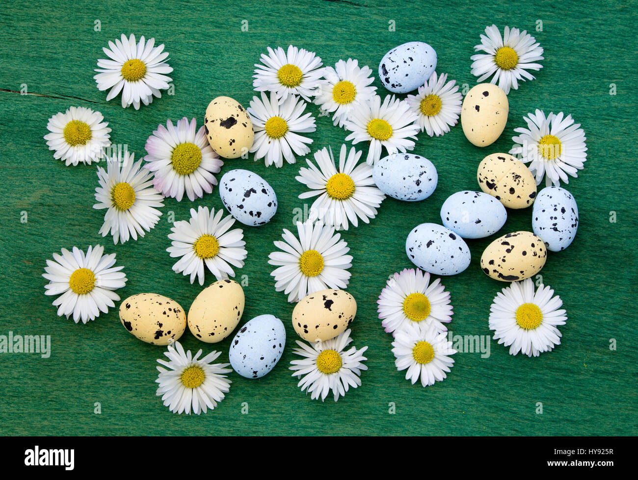 Ostern-Hintergrund mit Ostereiern und Frühlingsblumen Stockfoto