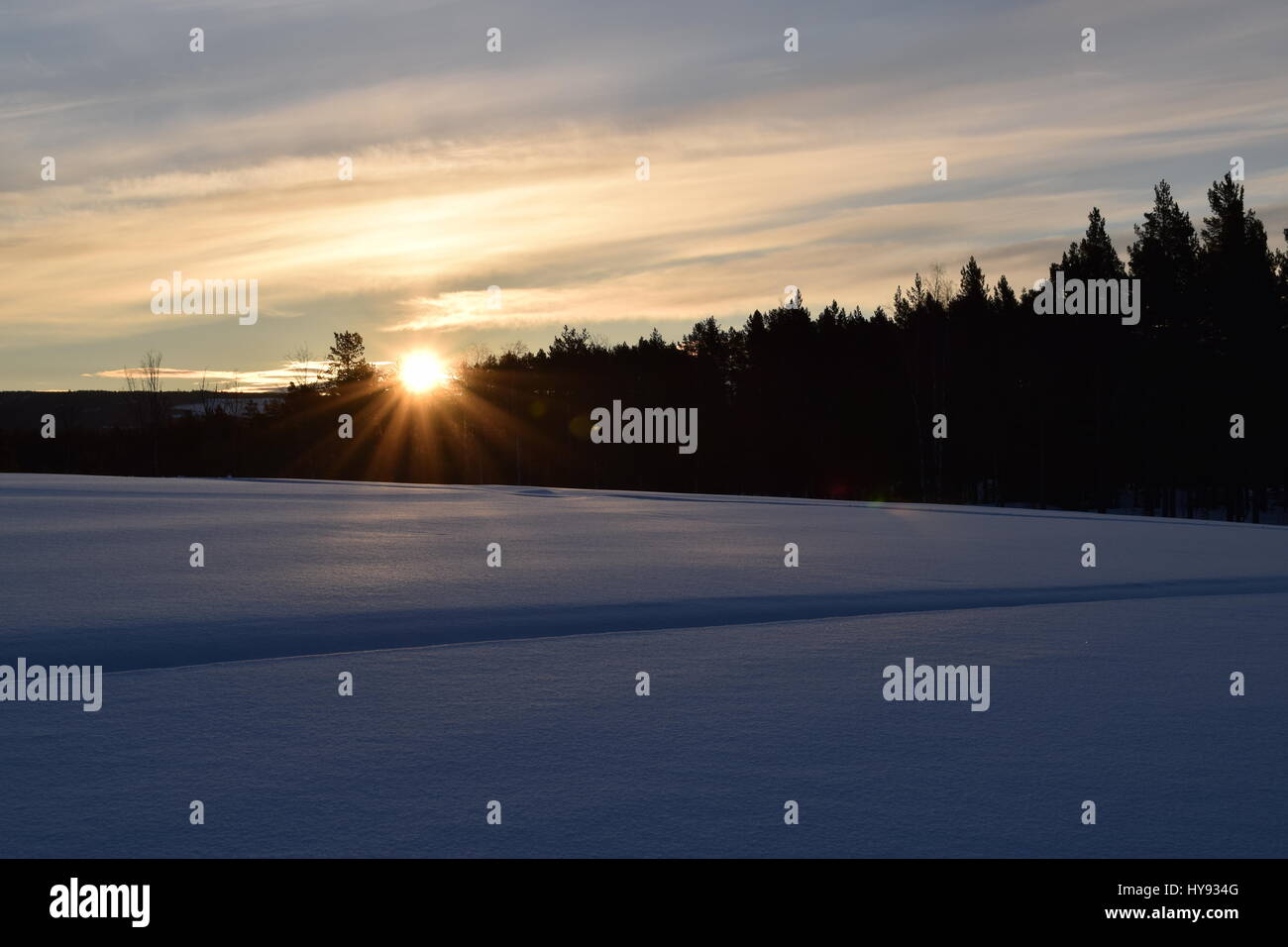 Vemhåns Stockfoto