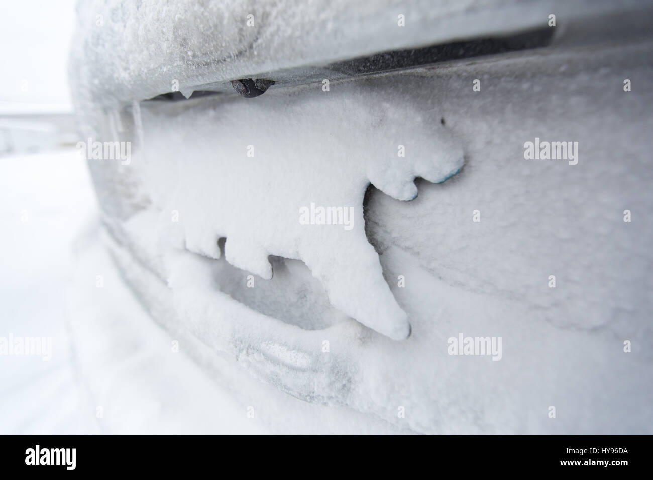 Nordwest Territories, Kanada NWT-Kennzeichenschild in Form eines Eisbären am Fahrzeug montiert und mit weißem Schnee bedeckt; Winterfahrten Stockfoto